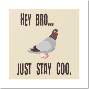 Pigeon Says Hey Bro, Just Stay Coo. Calm Cool Chill Out Bird Posters and Art